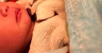 生後6カ月娘の寝かしつけが終わり、「やっと寝た〜」と布団に入ると……　ママ絶望の光景に「なぜ……」「見なかった事に」