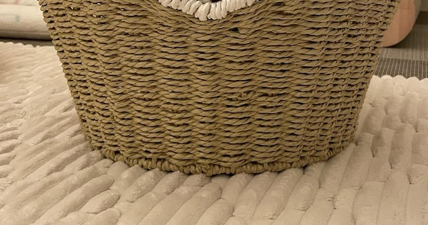 ニトリで衝動買いしたカゴ→“じゃない使い道”に「必ず入りますよね」「すっかり我が物顔」「真似させてくださーい」