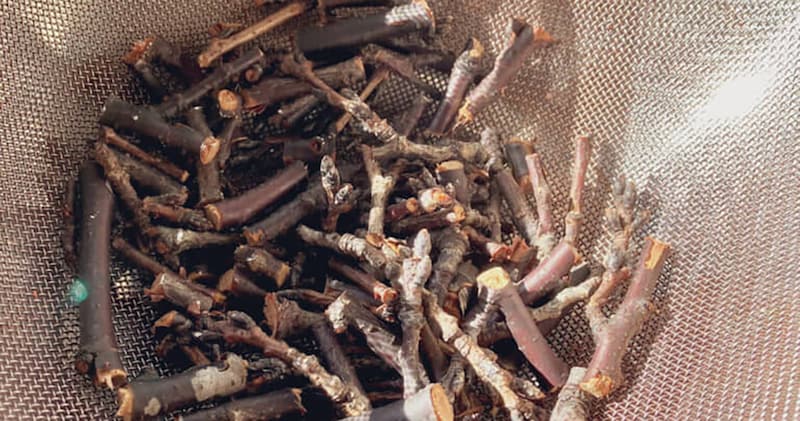 “桜の枝”を短くカット→煮出して布を染めたら……「すごおおおお」　“予想を裏切る結果”が52万表示　「こんないい色に」「本当に美しい」