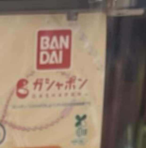カプセルトイを“1200円分”回したら…… 「嘘だと言って」“衝撃の結果”に「面白すぎます」「当たりじゃないですかー」