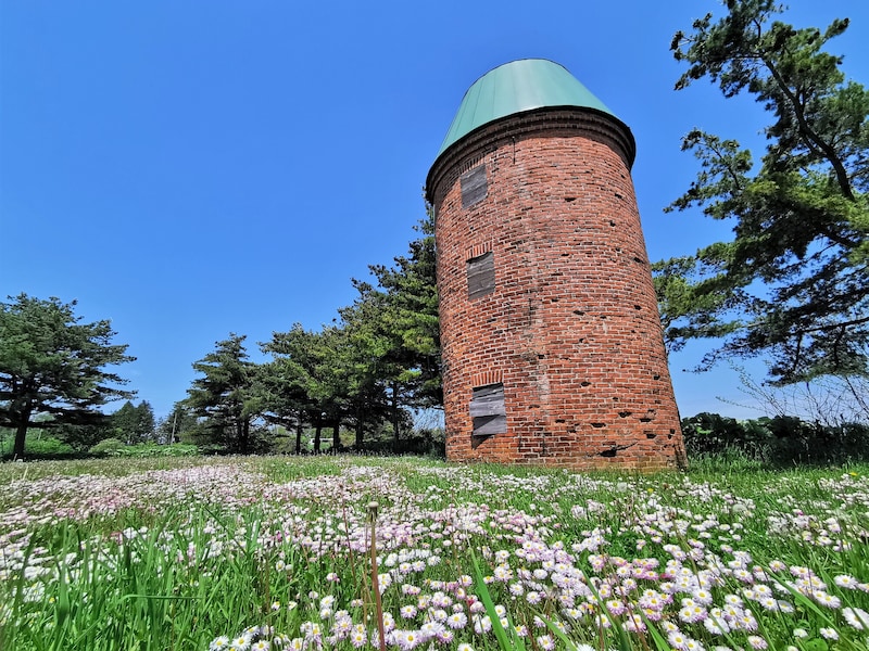 「自分の羽を広げることができる」　“キャンパスライフ”の評価ランキング上位の北日本の私立大学に集まった声　「学内犬や猫がいる」「都会的な暮らしもできます」