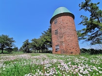 「自分の羽を広げることができる」　“キャンパスライフ”の評価ランキング上位の北日本の私立大学に集まった声　「学内犬や猫がいる」「都会的な暮らしもできます」