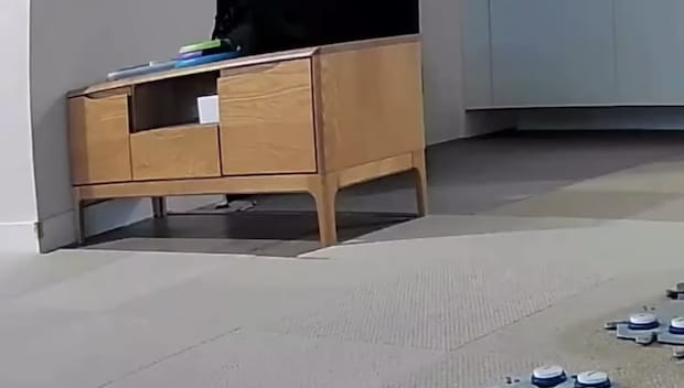 カメラで「決定的な証拠」を捉えたと言うママ→見てみると……「神がかり過ぎて凄い」衝撃の光景に「感動しちゃいました」