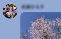 LINEでおばあちゃんから送られた“春ならでは”の風景→孫が返信すると……　予想外のリアクションに爆笑「ひーww 」「ハイレベル」