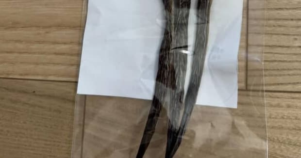 有名な佐賀土産→近くで見たら……「怖すぎる」　“予想を超えるビジュアル”に「なぜそれを…」「うまいんだな、これが」