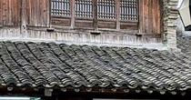 【画像】“まさかの正体”を見る