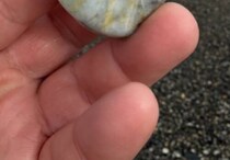 新潟の海で見つけた“緑の石ころ”→手に取ると……　奇跡の出会いに「こりゃすごい」「エグ過ぎー！」