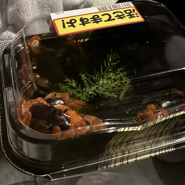 ロピアで「300円だから！」と買ったサワガニ→帰宅後……　思わぬ光景に「いやあああああああ」「オレら、生きられるよな？」
