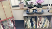 本好き一人暮らしグラフィックデザイナーの読書部屋　お気に入りが詰まった空間に「全部が本当に素敵」「めちゃくちゃセンスいい」