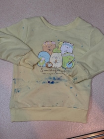 【画像】まさかの完成品