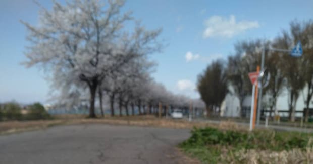 「旦那からこれが送られてきました」→妻が爆笑した“愛犬の1枚”に「苦心の作」「愛おしいアングル」