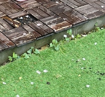 【画像】目を疑う光景