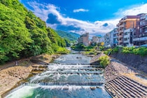 【画像：ランキング20位～1位を見る】