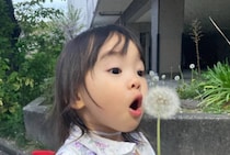 【画像】記事を読む