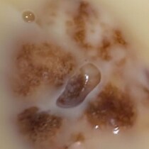 【画像】実際に提供されたもの