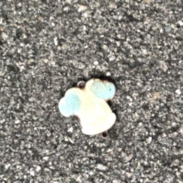 道端で「ミッキー」発見→そう思って近づくと…… 「うわぁぁあああ!!!」まさかの正体に「見逃すとこやったわ」「多分、、あいつだよね?」