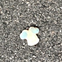【画像】近くで見た、まさかの正体