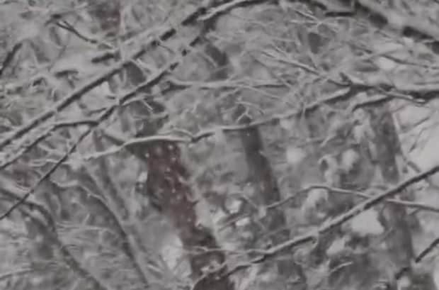 4月半ばの北海道で窓の外をみたら…… 目を疑う光景に「ひいぃぃぃ」「うそでしょ?」「同じ日本とは思えない」