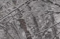 4月半ばの北海道で窓の外をみたら……　目を疑う光景に「ひいぃぃぃ」「うそでしょ？」「同じ日本とは思えない」