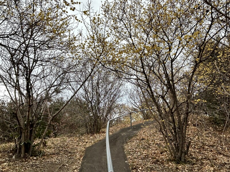 【関東在住者に聞いた】地元民しか読めないと思う「群馬県の市町村名」ランキング！　2位は「邑楽町」、1位は？