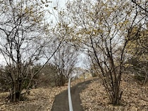 【関東在住者に聞いた】地元民しか読めないと思う「群馬県の市町村名」ランキング！　2位は「邑楽町」、1位は？