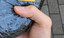 魚屋でおにぎりを買ったら……「えっ？」目を疑う光景が150万表示「なんて立派な」「最高かよwｗ」