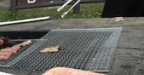 【画像】バーベキューの様子