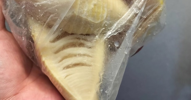 ご近所さんにタケノコをお裾分け→翌日、ポストに入っていたのは……　まさかの“お礼”に「なんか泣けてきた」「粋な方ですね」