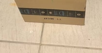 Amazonから届いた「置き配」→見に行くと……　まさかの光景に「これはニヤニヤしちゃいますね！」「これ見たさにまた頼みそう」