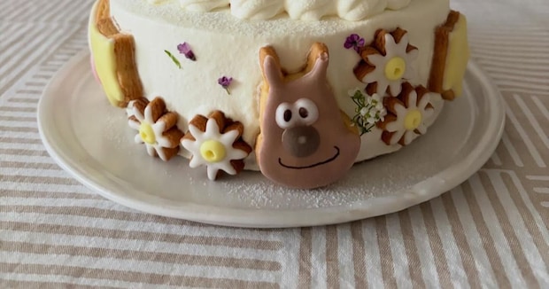 ママ「包丁でフリーハンド」→2歳息子の誕生日ケーキがとんでもない仕上がりに「プロでは？」「可愛すぎて食べられないかも」