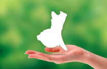 「宇宙語だ」　地元民しか読めないと思う”茨城県の市町村名”ランキング1位に「読めない地名の筆頭」　「茨城の人以外ほとんど読めない」の声