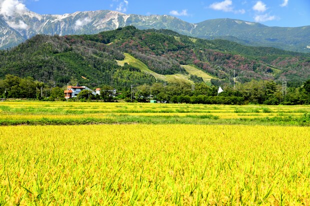 「とにかくゆっくり時間が流れる」　“長野県で人気の温泉宿”ランキング上位に集まった声！「無料サービスが時間帯によっていろいろ」「オールインクルーシブすげぇ」