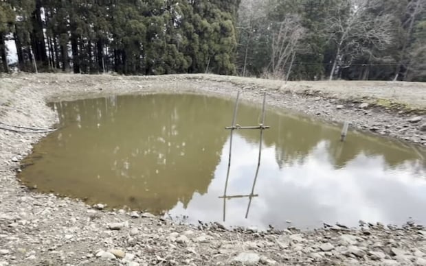 鯉を育てる野池からパイプで全部水を抜いたら……　ワイルドすぎる光景に「本当に最高」「何回見ても面白い」