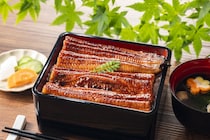 「高知県のうな重の名店」一番食べてみたいのは？　最高品質の高知県産うなぎを使用したうな重が味わえるお店などを紹介！