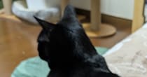 【画像】独特すぎる甘え方