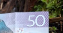ニュージーランドの50ドル紙幣に描かれた“変わったキノコ”→現地で探したら……「本当にあったんだ！」　神秘的な姿に「想像してたより青い！」