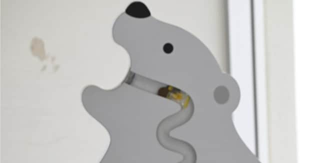 動物園にあるかわいい募金箱→よく見ると……「こんな事するなんて」 380万表示の“悪質な迷惑行為”に「沢山の人に知って欲しい」「責任を持たないと」