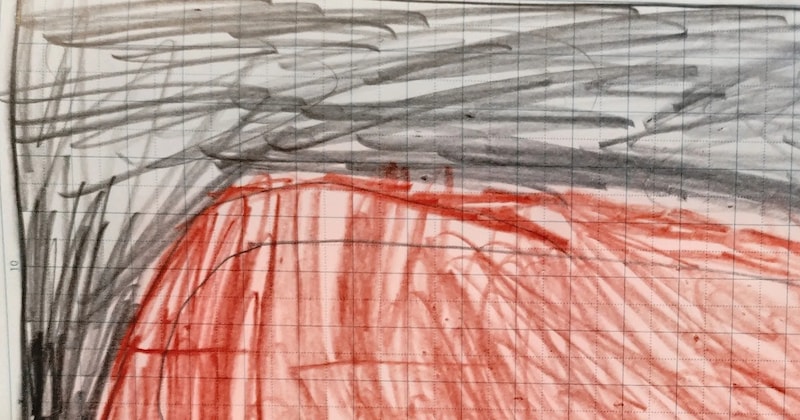 8歳息子が自主学習で描いた絵→鮭かと思い、端っこを見たら……　「なにこれ！」衝撃の光景に「一万年後の人類に見てほしい」