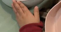 【動画】娘の反応を見る