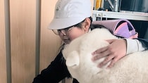 小学校で疲れた次女を癒やす“秋田犬たち”→数年後……　“現在の姿”に「頼もしくてほほ笑ましい」「愛があふれる毎日」