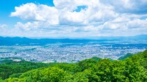 【画像：ランキング29位～1位を見る】