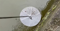 100均ネットにイカをのせ、水路に沈める→引き上げたら……　思わぬ生き物たちが次々登場「凄いなw」「美しいです」