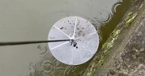 【画像】ネットを引き上げたら……