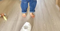 1歳息子のコーデを撮ろうとしたら→ママ「なんだその顔は」　まさかの表情に「実にけしからん」「リアルちいかわ」