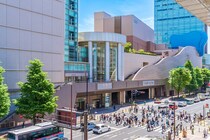 「何もかもほどよい」神奈川県の“住みたい駅”1位に「都心や横浜へのアクセスが良い割に落ち着いてる」「のどかで良い」「商業施設も充実」「自然もある」の声