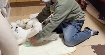 【画像】猛特訓の様子