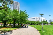 【画像：ランキング22位～1位を見る】