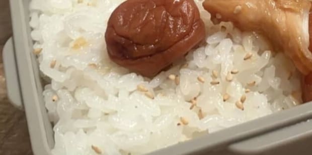 自炊初心者の彼女が作った“彼氏弁当”→数日後……まさかの変化に「手が込んでる」「めっちゃ美味しそう」