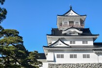 【画像：ランキング19位～1位を見る】