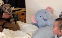 0歳赤ちゃんがマジシャン叔父の手にかかると……　お腹が痛い光景に「プロwww」「うますぎるだろ！」